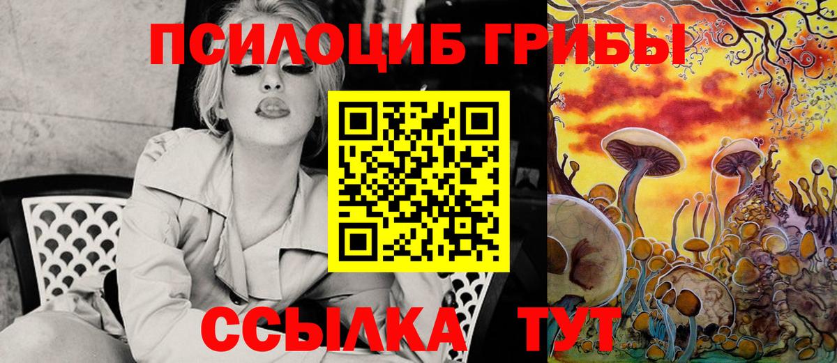 Галлюциногенные грибы Psilocybe Кыштым