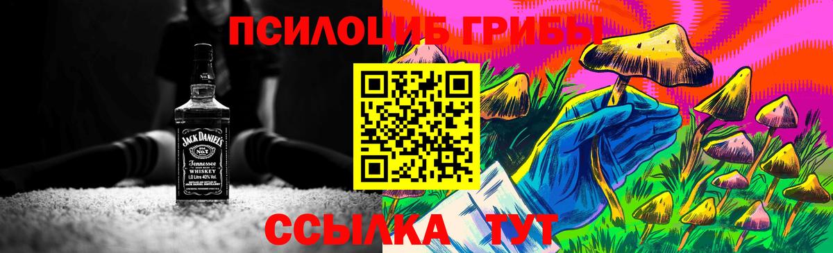 Галлюциногенные грибы GOLDEN TEACHER  Галлюциногенные грибы мухоморы  цены   Вход с VPN  Кыштым 